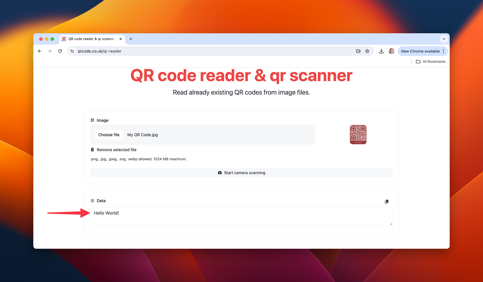QR Code Reader Output